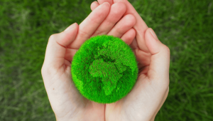 Positivo al medio ambiente